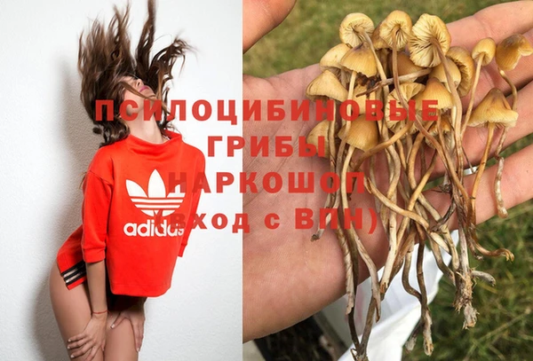 каннабис Магадан