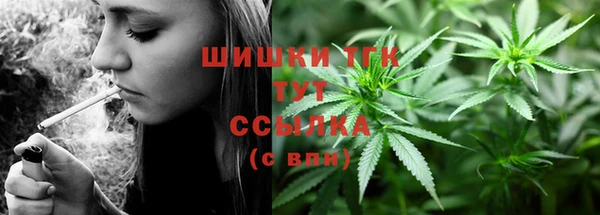 тгк Майский