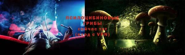 тгк Майский