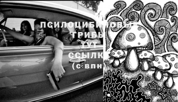 каннабис Магадан