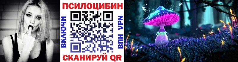 Псилоцибиновые грибы Cubensis  Купить закладки  Устюжна 